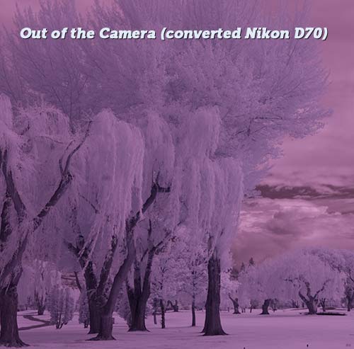 infrared image before and after using on  of my infrared techniques