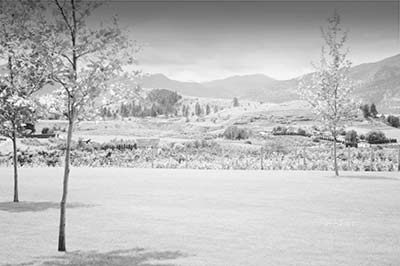 Black and white digital infrared using alex's actions