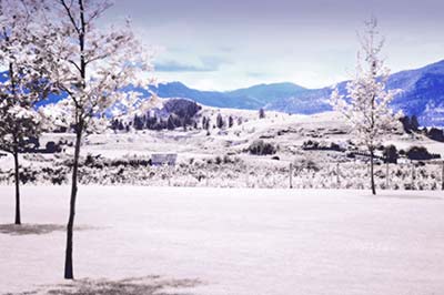 digital IR color using Actions 