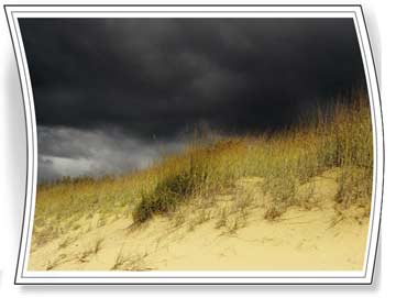 postcard marketing with your digital photos