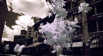 ghostly streetscape
