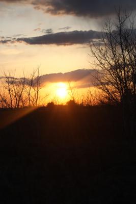 An AMAZING sunset