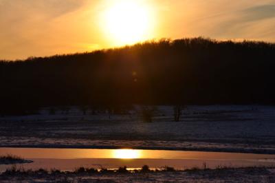 Evening Glow