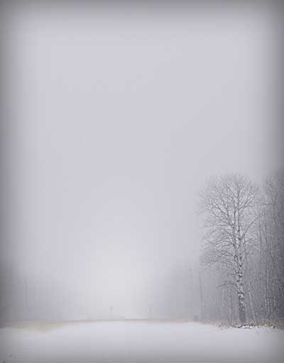 foggy winter scene