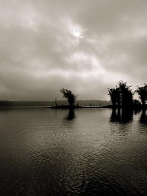 Morning at Kabini from a Coracle