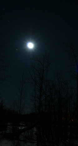 winnipeg lunar eclipse february 20, 2008