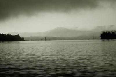 Morning at Kabini