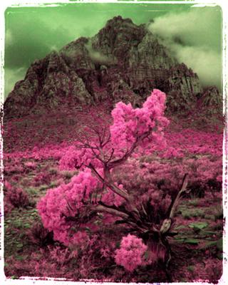 Red Rock in infrared - false color