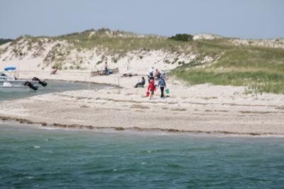 Sandy Neck, Cape Cod MA